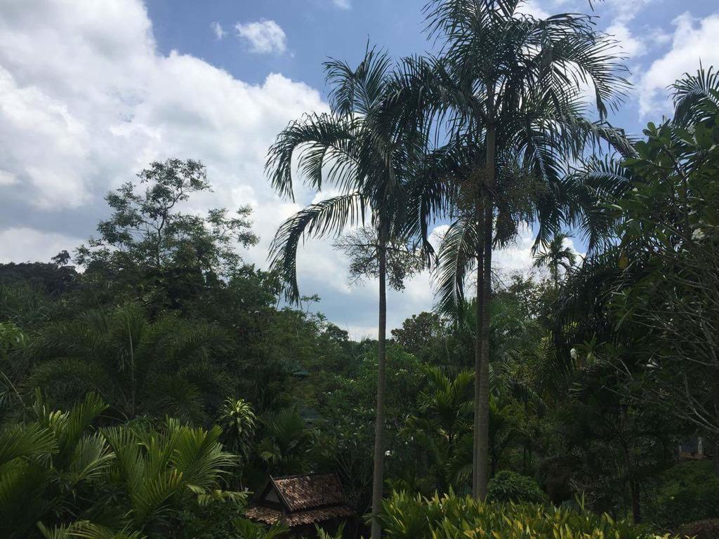 Aonang Cliff Mountain New Resort Ao Nang Экстерьер фото